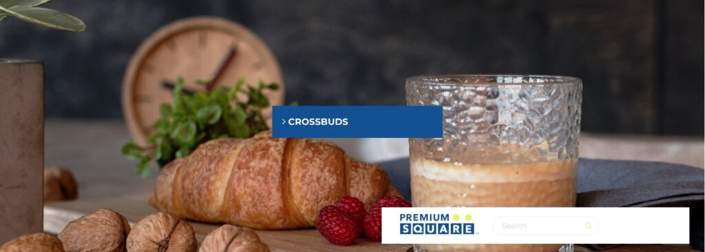 https://premium-square.com/product/crossbuds/?lang=en