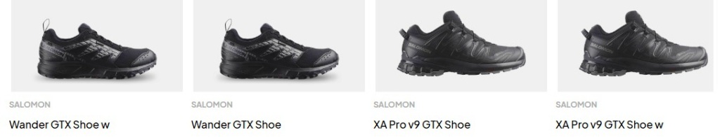 https://www.bastadgruppen.com/da/sko/arbejds-og-fritidssko/outdoor-trail/wander-gtx-shoe-w/