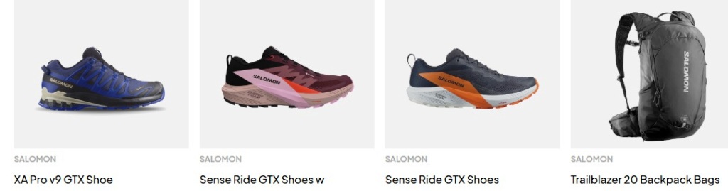 https://www.bastadgruppen.com/da/sko/arbejds-og-fritidssko/outdoor-trail/xa-pro-v9-gtx-shoes/
