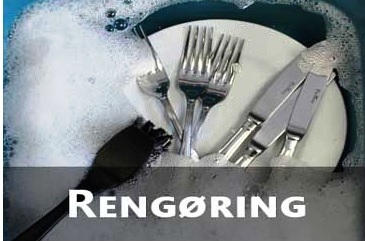 https://haahr-co.dk/rengoering