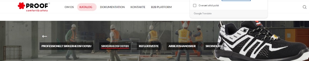 https://proofsafety.eu/katalog/profesjonalne-obuwie/